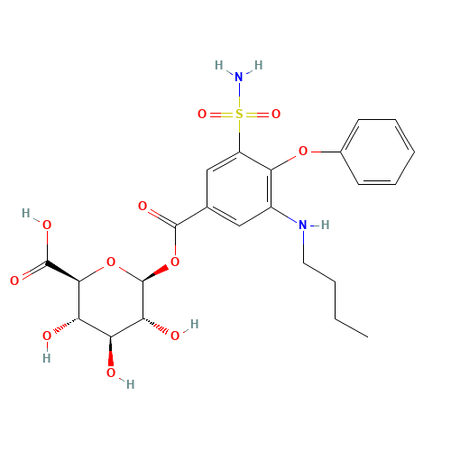 Bumetanide b-D-Glucuronide (CAS: 102623-14-3) - Related Chemical Product
