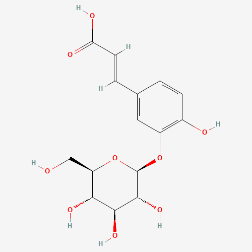 Caffeic Acid 3-b-D-Glucoside (CAS: 24959-81-7) - Related Chemical Product