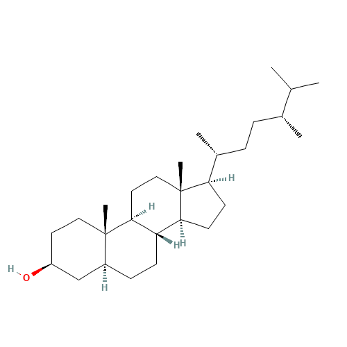 Campestanol (CAS: 474-60-2) - Chemical Structure and Molecular Formula 
