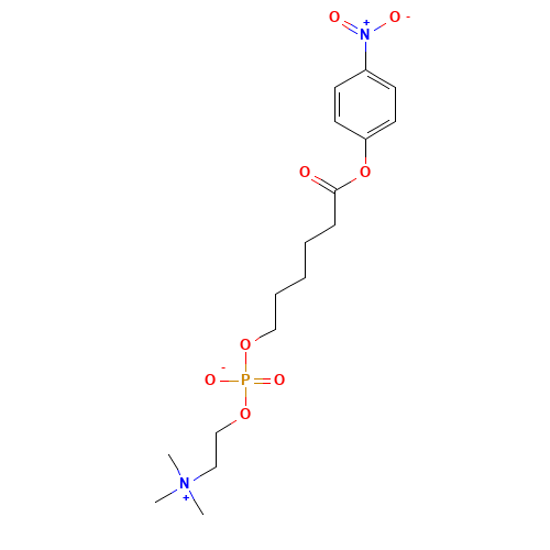 6-Carboxyhexylphosphocholine p-Nitrophenyl Ester (CAS: 73785-43-0) - Chemical Structure and Molecular Formula 
