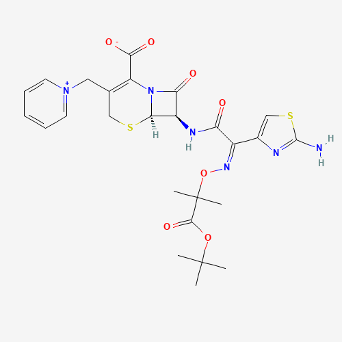 Ceftazidime t-Butyl Ester (CAS: 102772-66-7) - Related Chemical Product