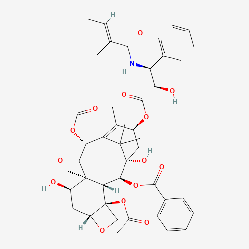 7-epi-Cephalomannine (CAS: 150547-36-7) - Related Chemical Product