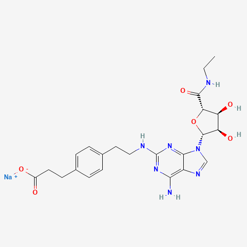 CGS 21680C Sodium Salt (CAS: 120225-64-1) - Related Chemical Product