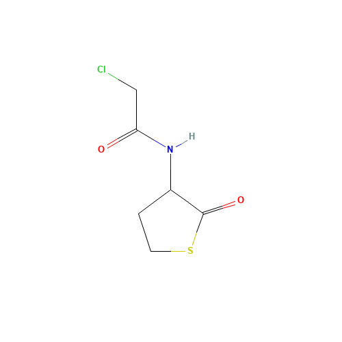 N-Chloroacetyl DL-Homocysteine Thiolactone (CAS: 84611-22-3) - Related Chemical Product