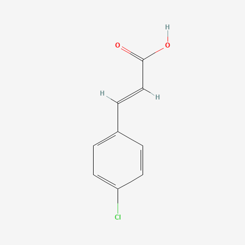 trans-4-Chlorocinnamic Acid (CAS: 940-62-5) - Related Chemical Product