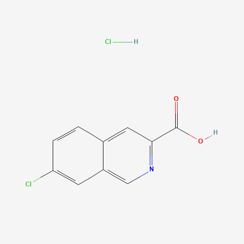 7-Chloro-3-isoquinolinecarboxylic Acid Hydrochloride (CAS: 365998-39-6) - Related Chemical Product