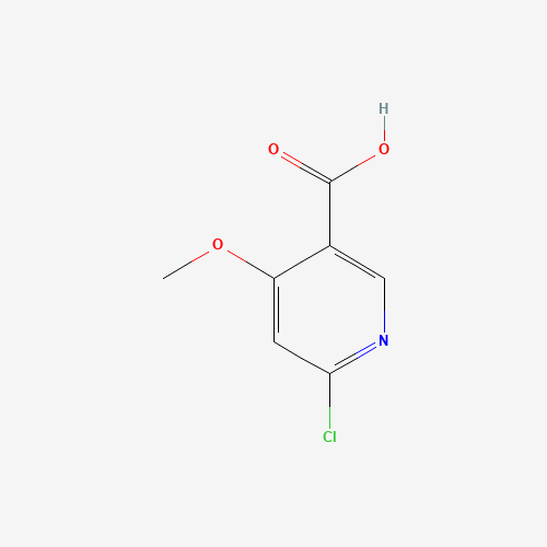 6-Chloro-4-methoxy Nicotinic Acid (CAS: 716362-10-6) - Related Chemical Product