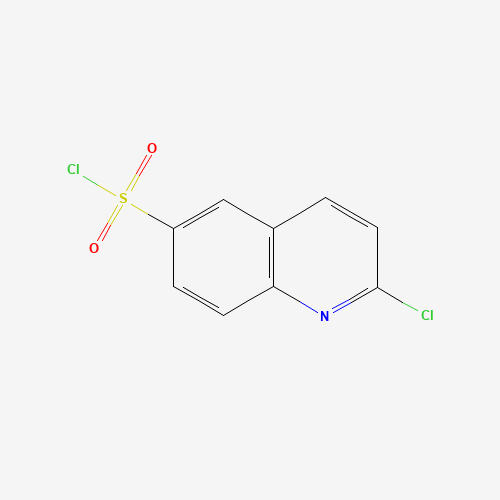 2-Chloroquinoline-6-sulfonyl Chloride (CAS: 205055-71-6) - Related Chemical Product