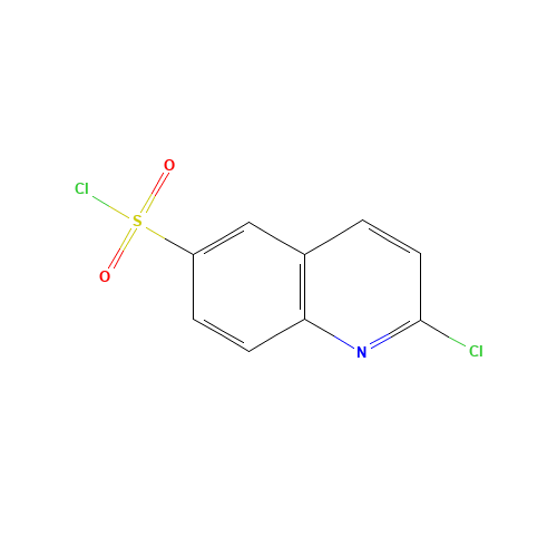 2-Chloroquinoline-6-sulfonyl Chloride (CAS: 205055-71-6) - Related Chemical Product