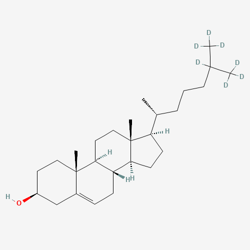 Cholesterol-d7 (CAS: 83199-47-7) - Related Chemical Product