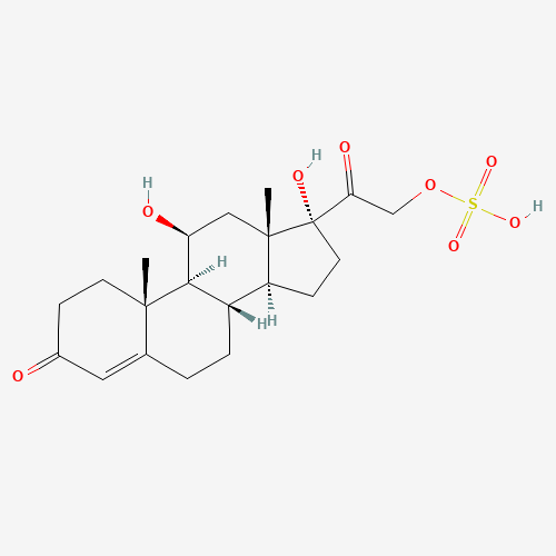 Cortisol 21-Sulfate (CAS: 1253-43-6) - Related Chemical Product