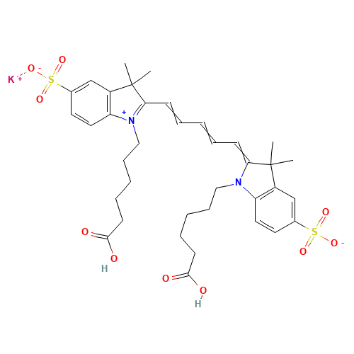 Cyanine 5 Bihexanoic Acid Dye,Potassium Salt (CAS: 252255-40-6) - Related Chemical Product