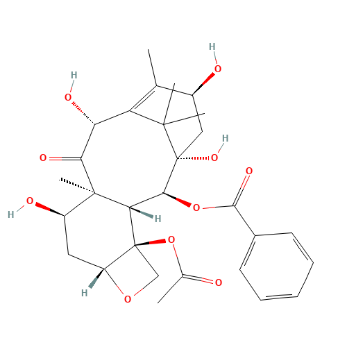 7-epi-10-Deacetyl Baccatin III (CAS: 71629-92-0) - Related Chemical Product