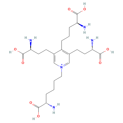 Desmosine (CAS: 11003-57-9) - Related Chemical Product