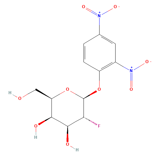 2,4-Dinitrophenyl 2-Deoxy-2-fluoro-b-D-galactoside (CAS: 143716-62-5) - Related Chemical Product