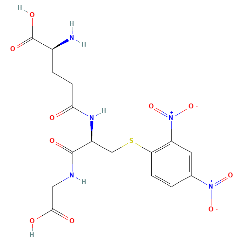 S-(2,4-Dinitrophenyl)-Glutathione (CAS: 26289-39-4) - Related Chemical Product