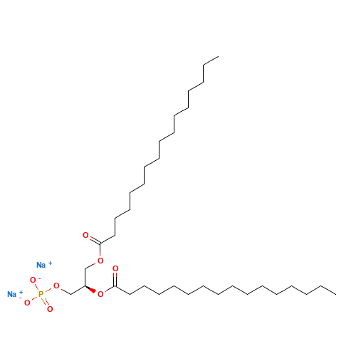 1,2-Dipalmitoyl-sn-glycero-3-phosphate Sodium Salt (CAS: 169051-60-9) - Related Chemical Product