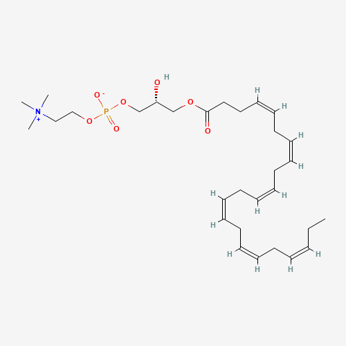 1-Docosahexaenoyl-sn-glycero-3-phosphocholine (CAS: 162440-05-3) - Related Chemical Product