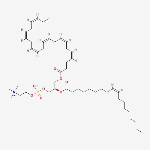 1-Docosahexaenoin-2-oleoyl 3-Phosphocholine (CAS: 99265-02-8) - Related Chemical Product