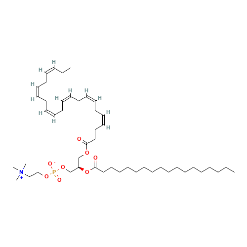 1-Docosahexaenoin-2-stearoyl 3-Phosphocholine (CAS: 99264-99-0) - Related Chemical Product