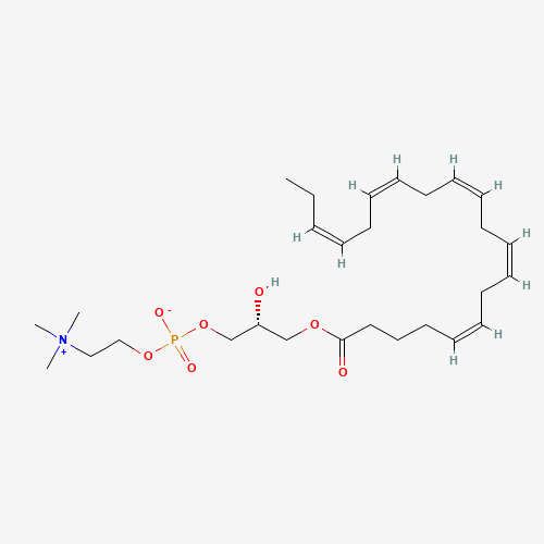 1-Eicosapentaenoyl-sn-glycerol-3-phosphocholine (CAS: 162440-04-2) - Related Chemical Product