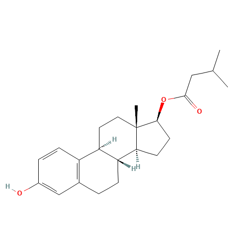 Estradiol 17-Isovalerate (CAS: 869627-83-8) - Related Chemical Product
