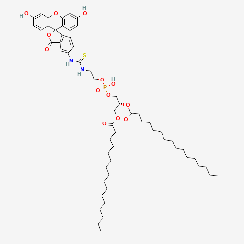 Fluorescein-Dipalmitoylphosphatidylethanolamine (CAS: 87706-98-7) - Related Chemical Product