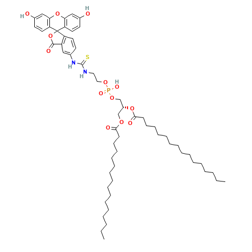 Fluorescein-Dipalmitoylphosphatidylethanolamine (CAS: 87706-98-7) - Related Chemical Product