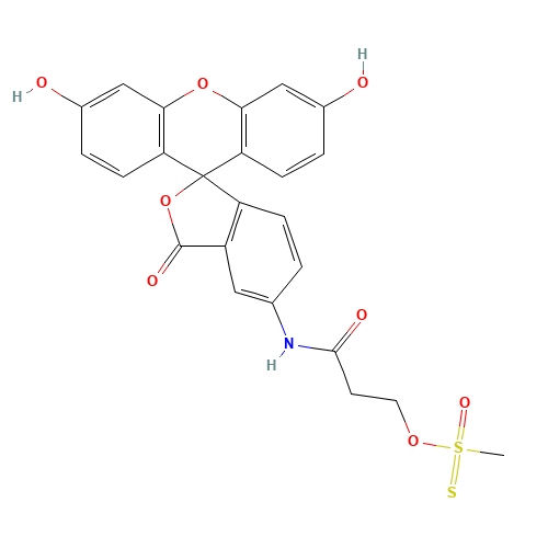 2-[(5-Fluoresceinyl)aminocarbonyl]ethyl Methanethiosulfonate (CAS: 351330-42-2) - Related Chemical Product