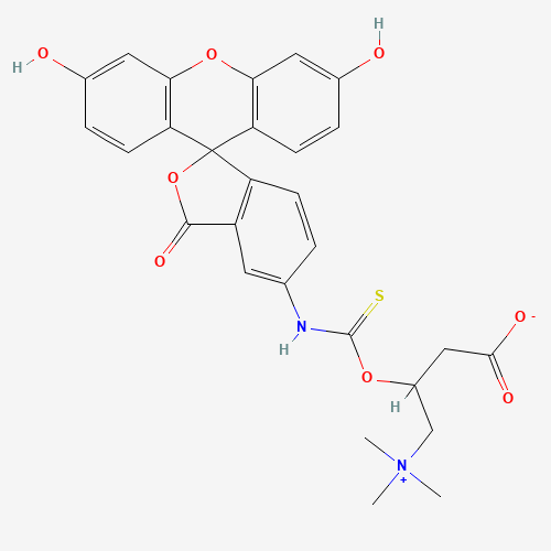 N-(5-Fluoresceinyl)-L-carnitine-O-thiocarbamate (CAS: 1258239-73-4) - Related Chemical Product