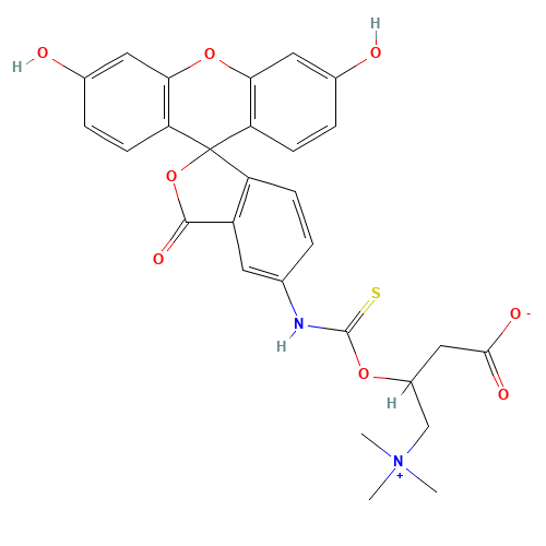 FT-0668598 CAS:1258239-73-4 chemical structure