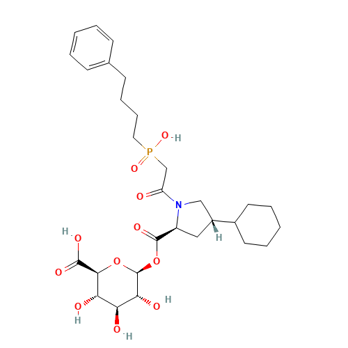 Fosinoprilat Acyl-b-D-Glucuronide (CAS: 113411-09-9) - Related Chemical Product