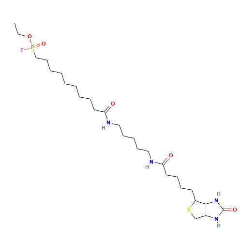 FP-Biotin (CAS: 259270-28-5) - Related Chemical Product
