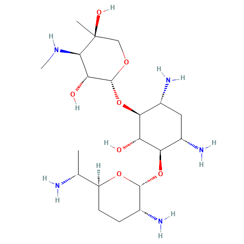 Gentamicin C2 Pentaacetate Salt (CAS: 25876-11-3) - Related Chemical Product