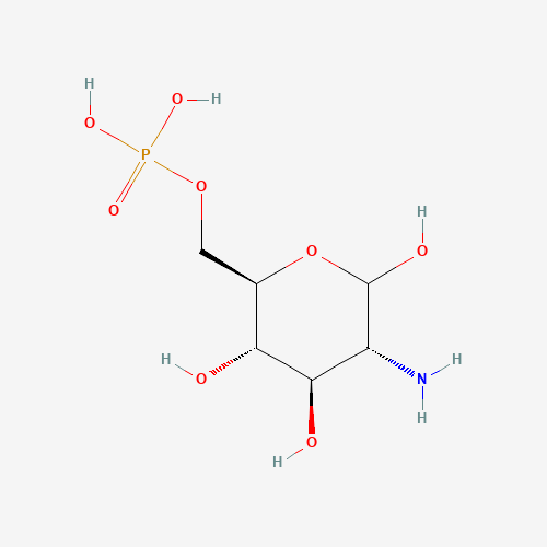 D-Glucosamine 6-Phosphate Hydrate (CAS: 3616-42-0) - Related Chemical Product