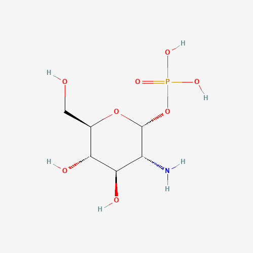 a-D-Glucosamine 1-Phosphate (CAS: 2152-75-2) - Related Chemical Product