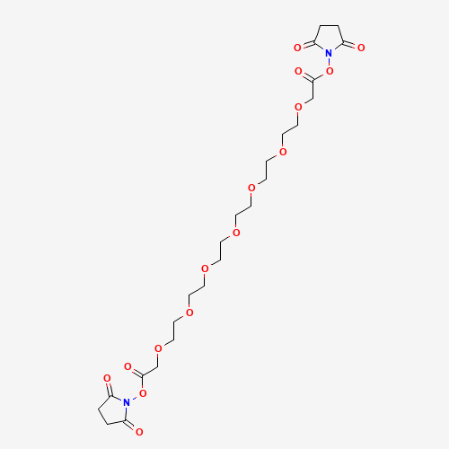 Heptaoxatricosanedioic Acid Bis(N-Hydroxysuccinimide) Ester (CAS: 211746-85-9) - Related Chemical Product