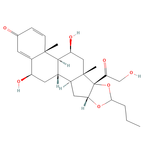 6b-Hydroxy Budesonide (CAS: 88411-77-2) - Related Chemical Product