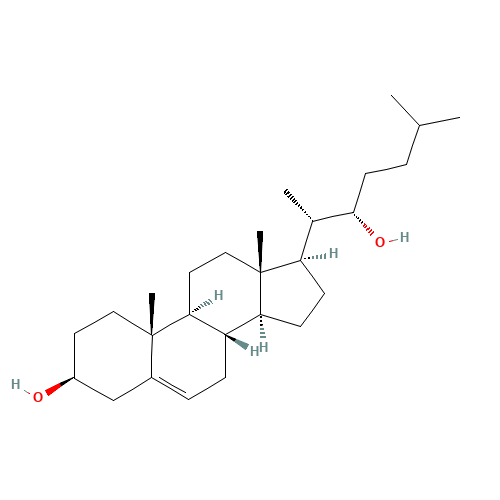 22b-Hydroxy Cholesterol (CAS: 22348-64-7) - Related Chemical Product