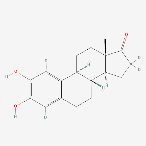 2-Hydroxy Estrone-d4 (CAS: 81586-97-2) - Related Chemical Product