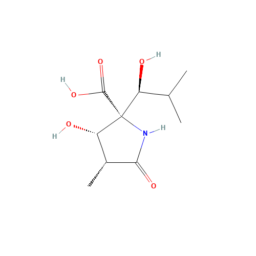 (3R,4S,5R)-4-Hydroxy-5-[(1S)-1-hydroxy-2-methylpropyl]-3-methyl-2-pyrrolidinone-5-carboxylic Acid (CAS: 145451-97-4) - Related Chemical Product