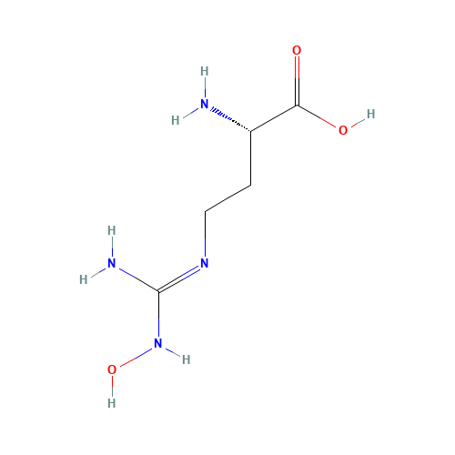 Nω-Hydroxy-nor-L-Arginine Dihydrochloride (CAS: 291758-32-2) - Related Chemical Product