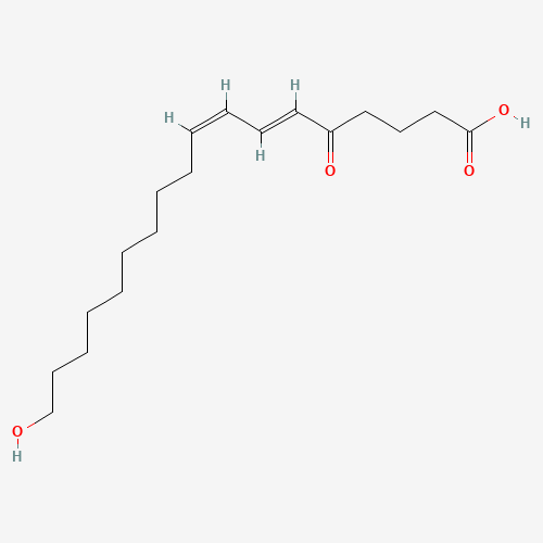 (6E,8Z)-18-Hydroxy-5-oxo-6,8-octadecadienoic Acid (CAS: 1021188-26-0) - Related Chemical Product