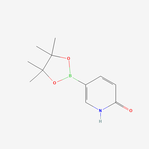 6-Hydroxypyridine-3-boronic Acid Pinacol Ester (CAS: 1054483-78-1) - Related Chemical Product