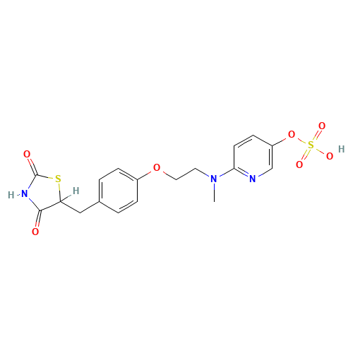 5-Hydroxy Rosiglitazone Sulfate (CAS: 288853-63-4) - Related Chemical Product