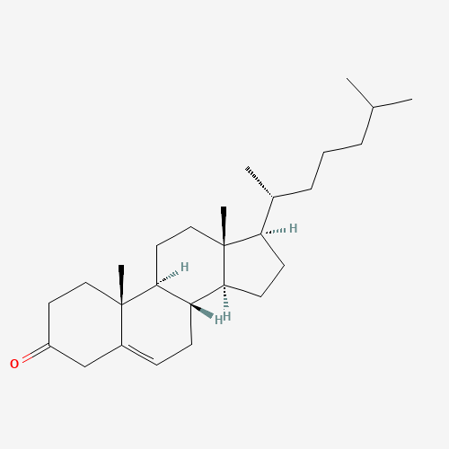 3-Keto Cholesterol (CAS: 601-54-7) - Related Chemical Product