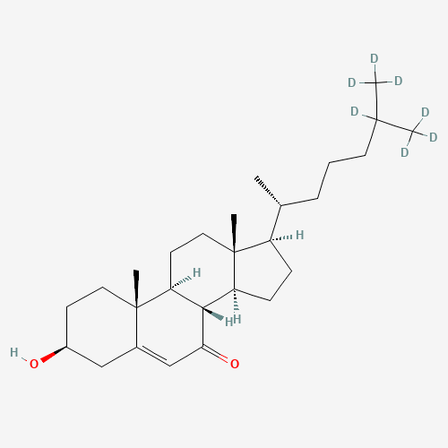 7-Keto Cholesterol-d7 (CAS: 127684-08-6) - Related Chemical Product