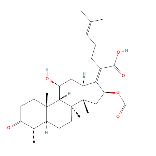 3-Keto Fusidic Acid (CAS: 4680-37-9) - Chemical Structure and Molecular Formula 
