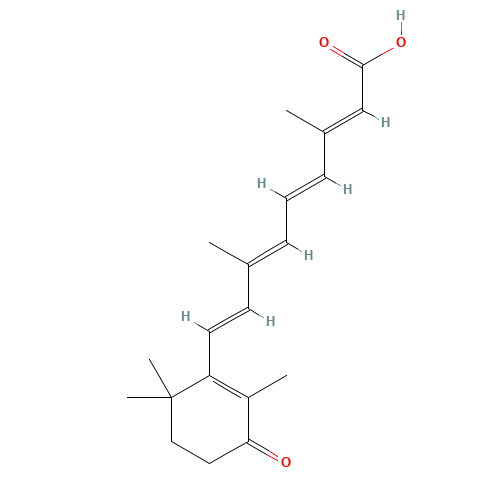 all-trans 4-Keto Retinoic Acid (CAS: 38030-57-8) - Related Chemical Product
