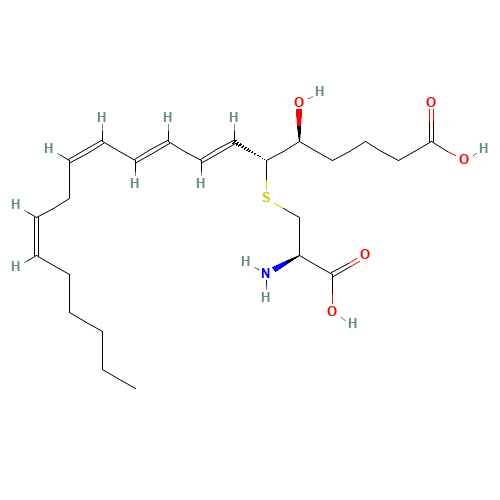 Leukotriene E4 (CAS: 75715-89-8) - Related Chemical Product
